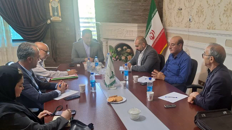 نخستین جلسه کمیته راهبردی نظارت بر بیمه تکمیلی در کرمانشاه برگزار شد